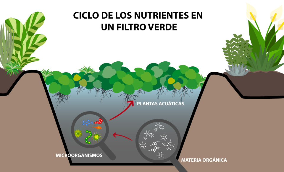 Filtros Verdes Diagrama Nutrientes SIEGUA